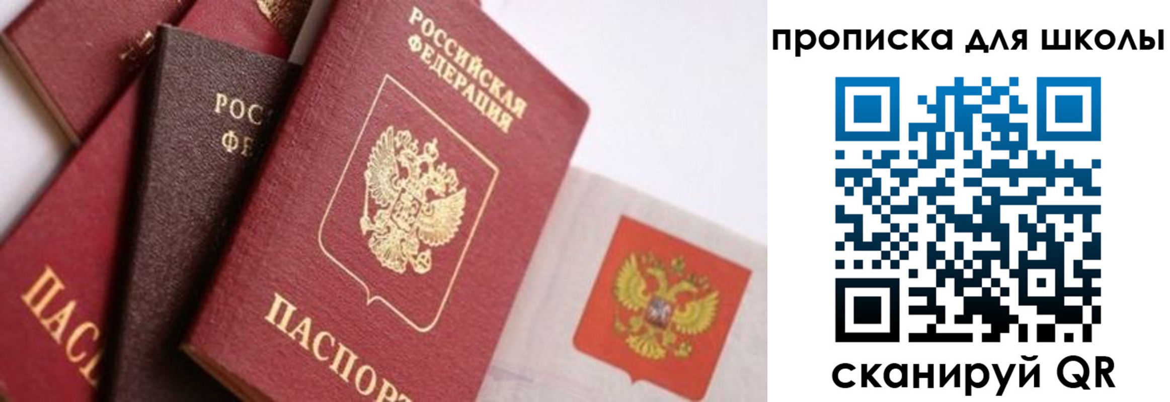 прописка поиск в Кольчугино